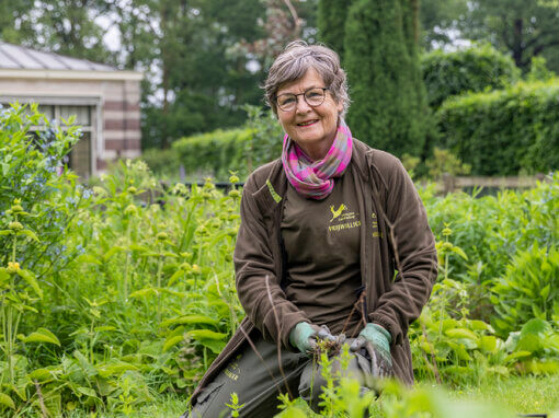 Vrijwilliger Utrechts Landschap in de kloostertuin van Landgoed Oostbroek i.o.v. Stichting het Utrechts Landschap